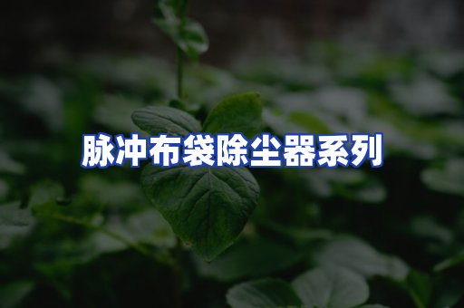 脉冲布袋除尘器系列